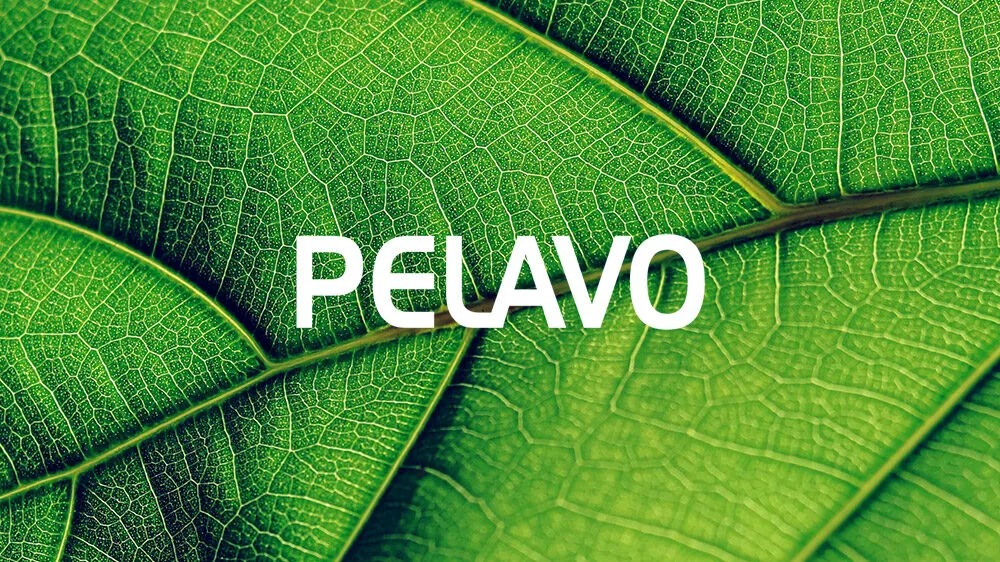 pelavo-okladka-1000×562-2-1000×5